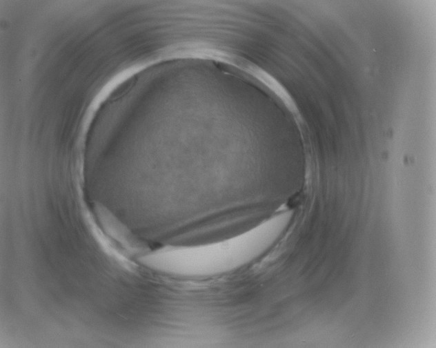 X0000083051144200702231949