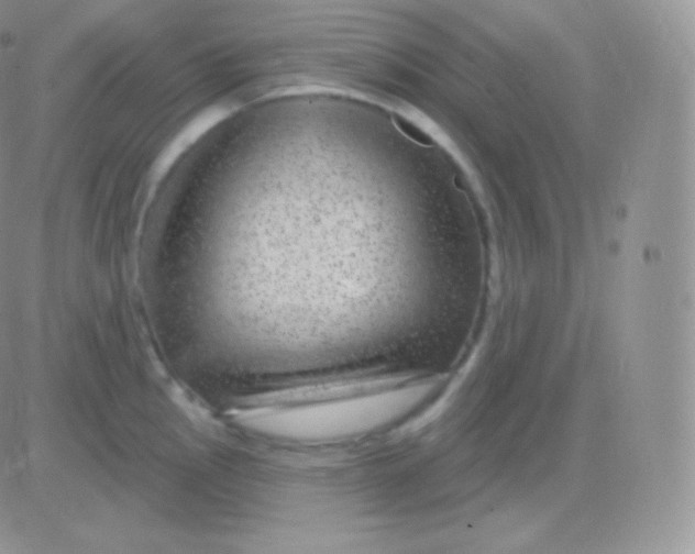 X0000083051145200702231949