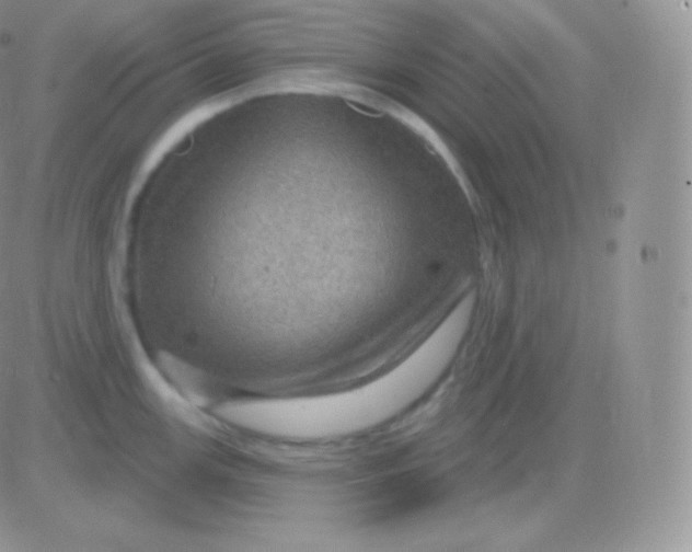 X0000083051147200702231949