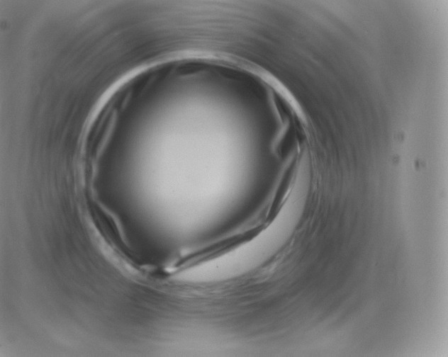 X0000083051148200702231949