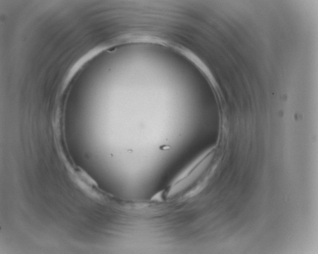 X0000083051149200702231949