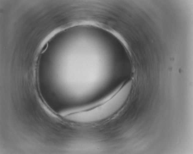 X0000083051151200702231949