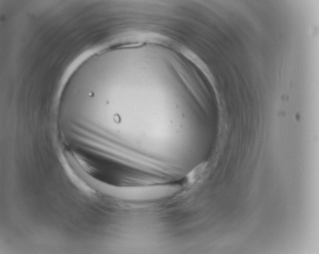 X0000083051152200702231949