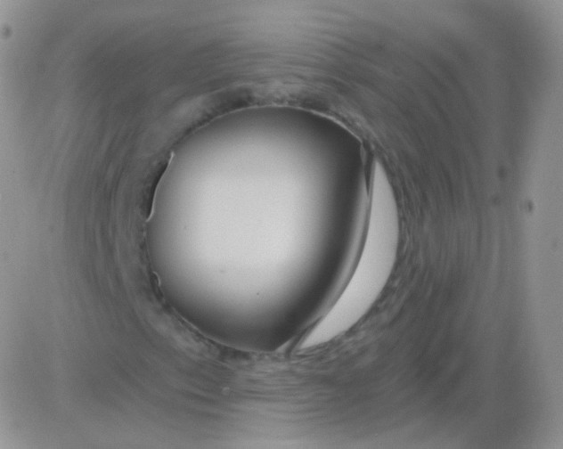 X0000083051153200702231948