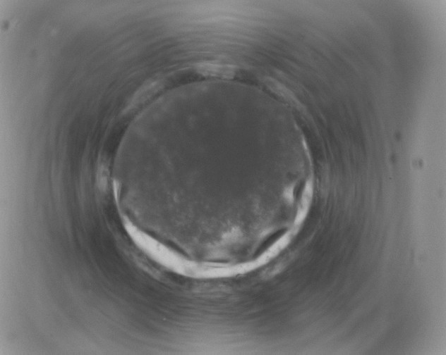 X0000083051154200702231948