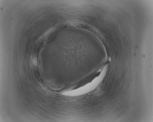 X0000083051155200702231948