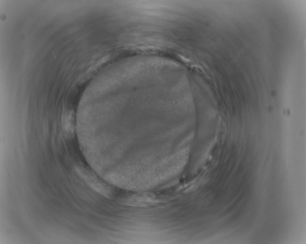 X0000083051156200702231948