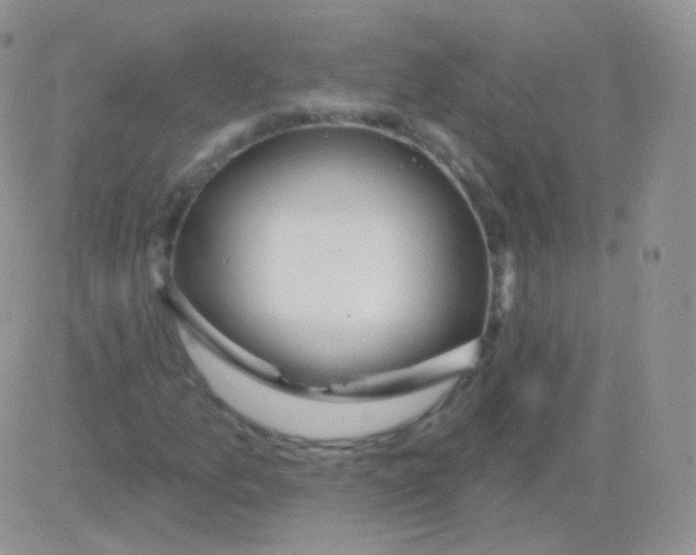 X0000083051157200702231948