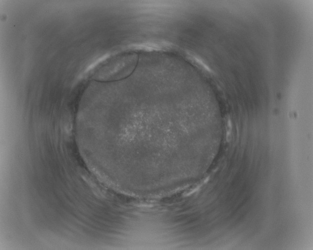 X0000083051158200702231948