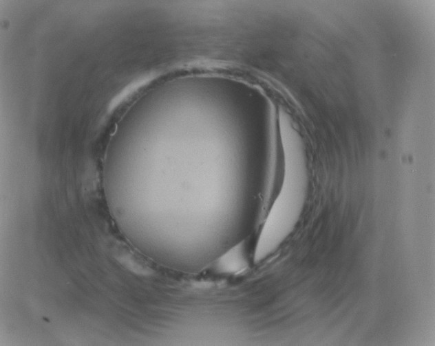 X0000083051160200702231948