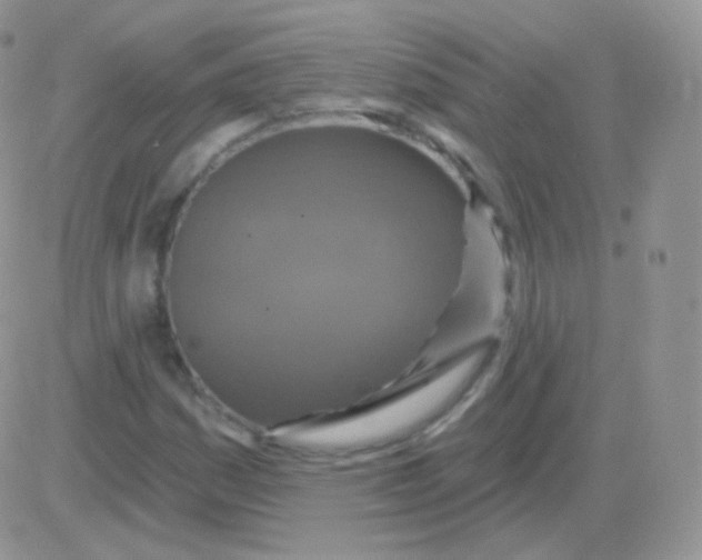 X0000083051161200702231948