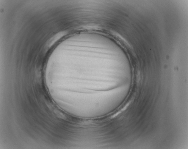 X0000083051162200702231948