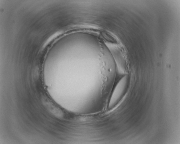 X0000083051163200702231948