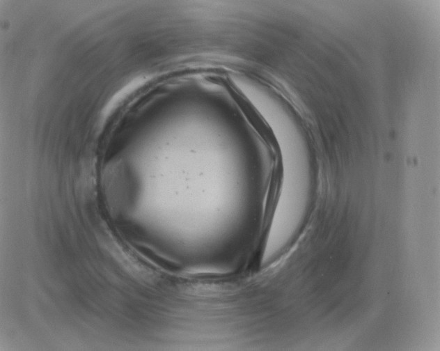 X0000083051164200702231948