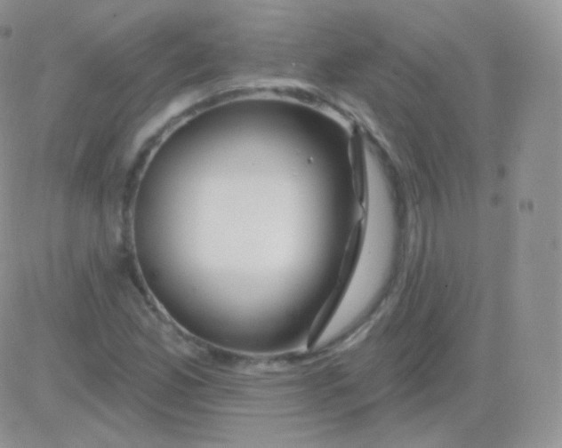 X0000083051165200702231948