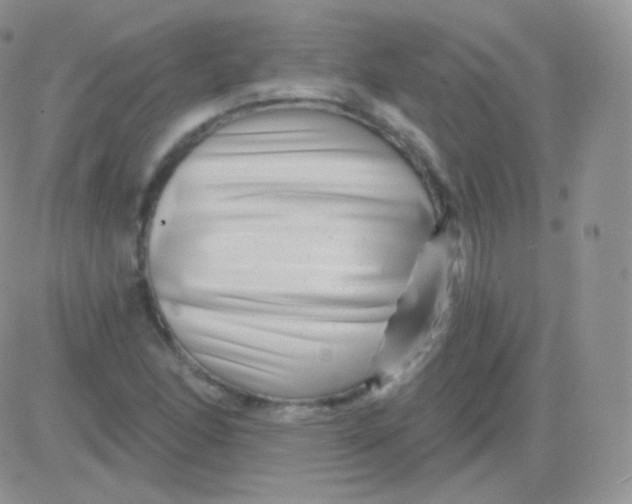 X0000083051166200702231948