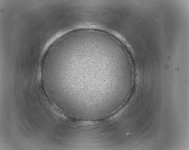 X0000083051167200702231948