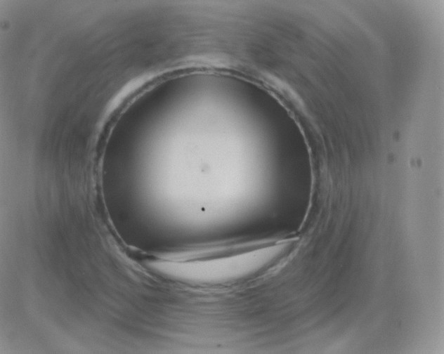 X0000083051168200702231948