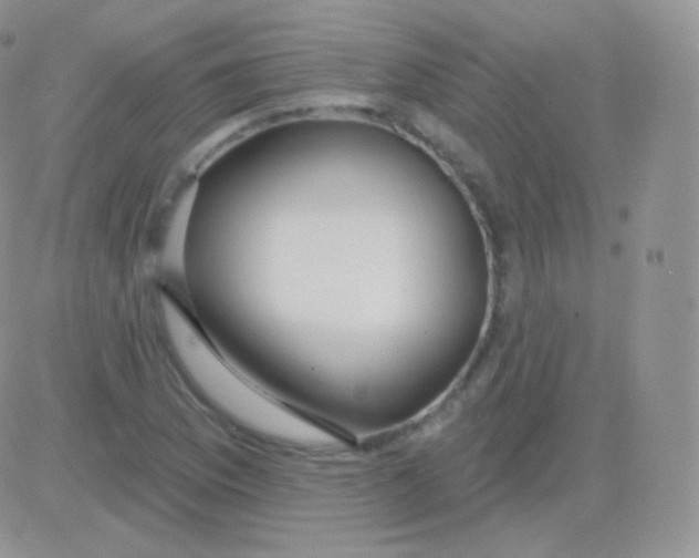 X0000083051169200702231948