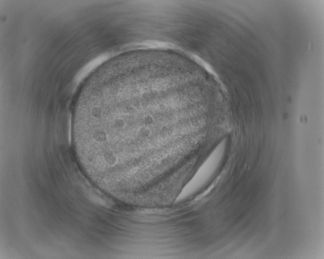 X0000083051171200702231948