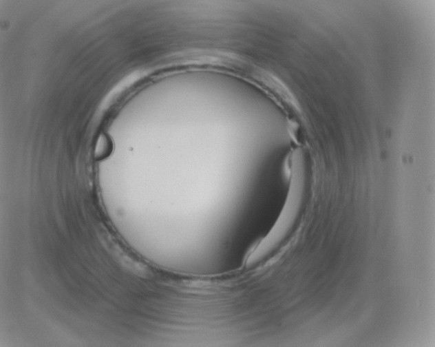 X0000083051172200702231948