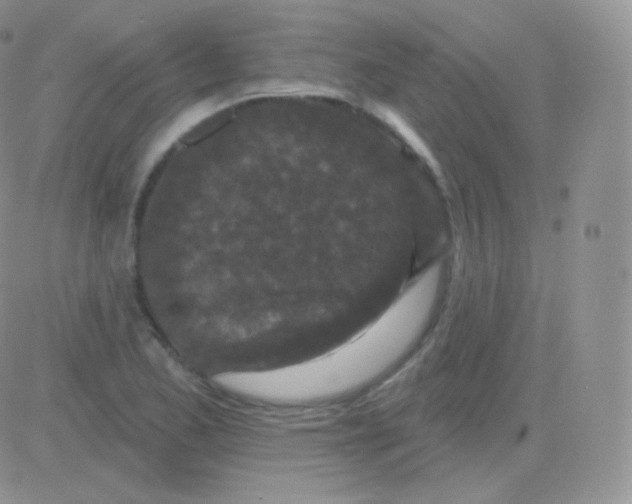 X0000083051173200702231948