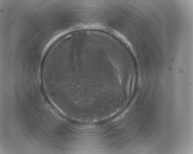 X0000083051174200702231947