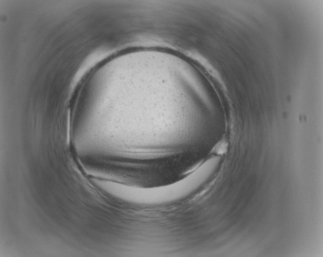 X0000083051175200702231947