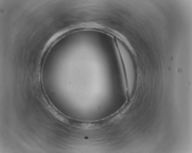 X0000083051176200702231947