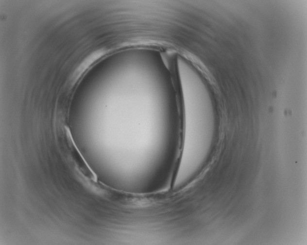 X0000083051177200702231947