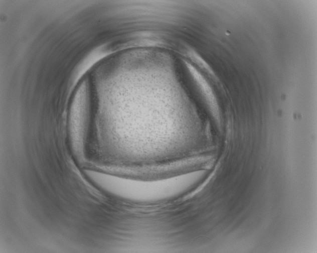 X0000083051178200702231947