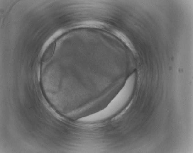 X0000083051180200702231947