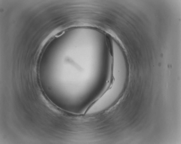 X0000083051181200702231947