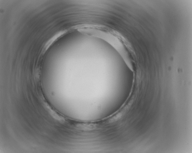 X0000083051185200702231947