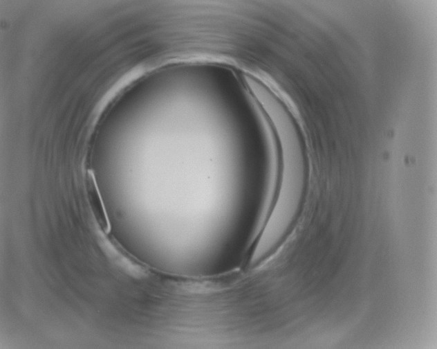 X0000083051189200702231947