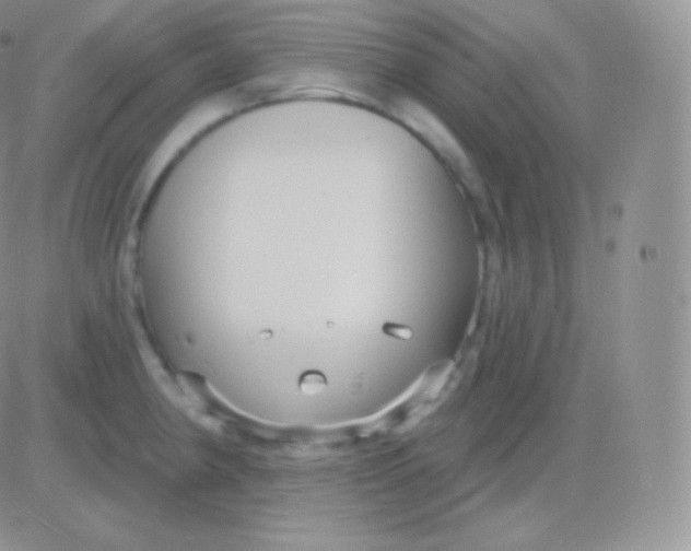 X0000083051190200702231947