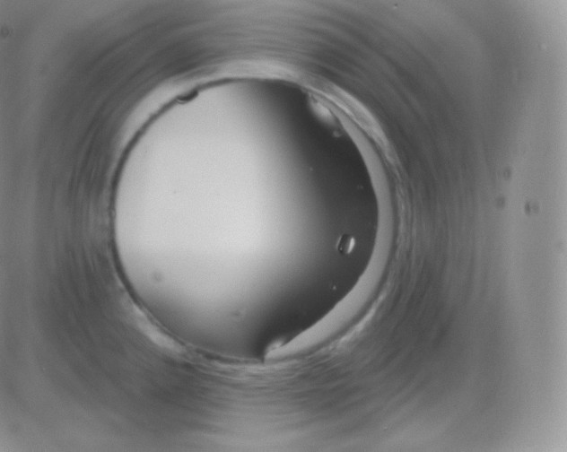 X0000083051192200702231947