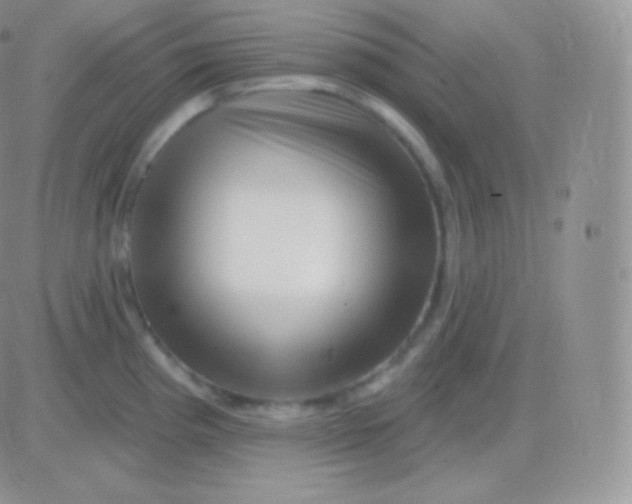 X0000083051193200702231947