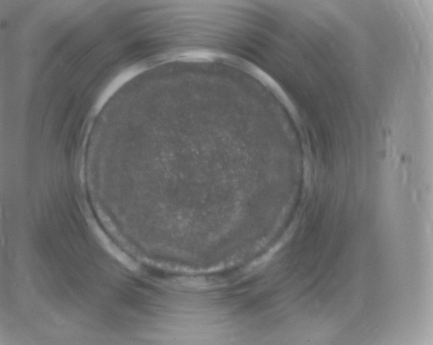 X0000083051194200702231947