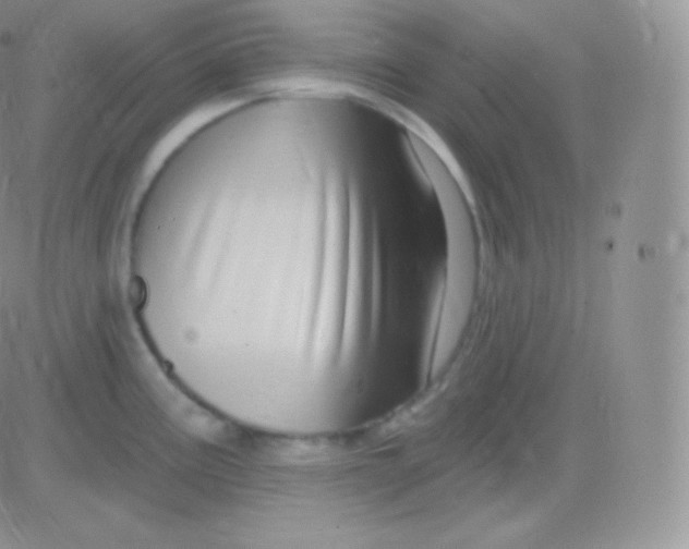 X0000083051195200702231947