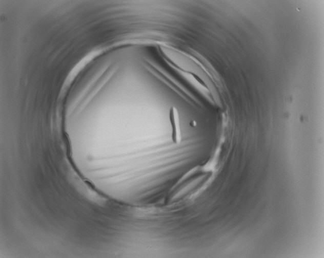 X0000083051196200702231947