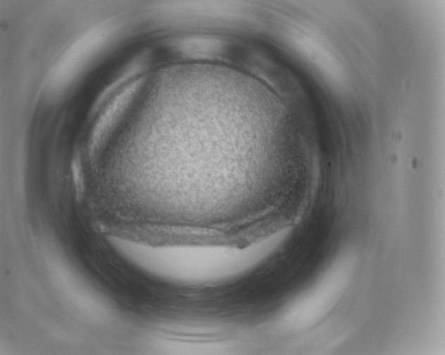 X0000083051198200702231947