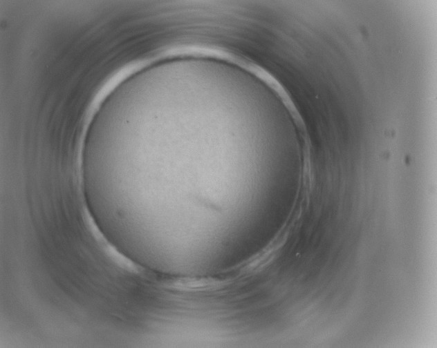 X0000083051199200702231947