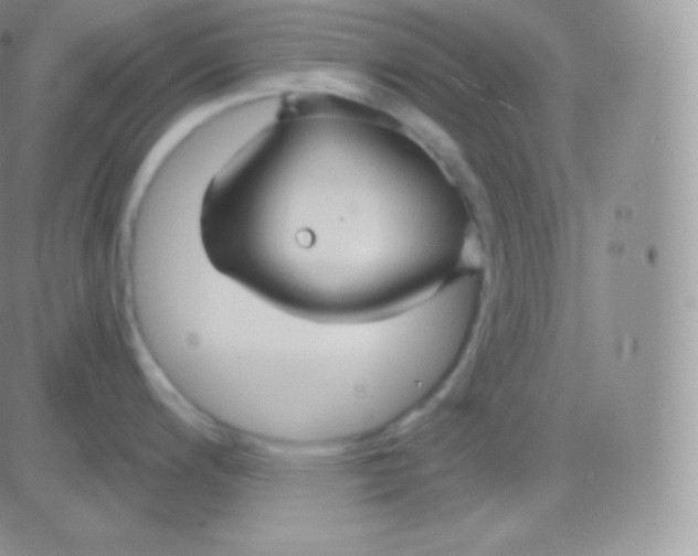 X0000083051200200702231947