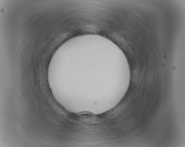 X0000083051201200702231946