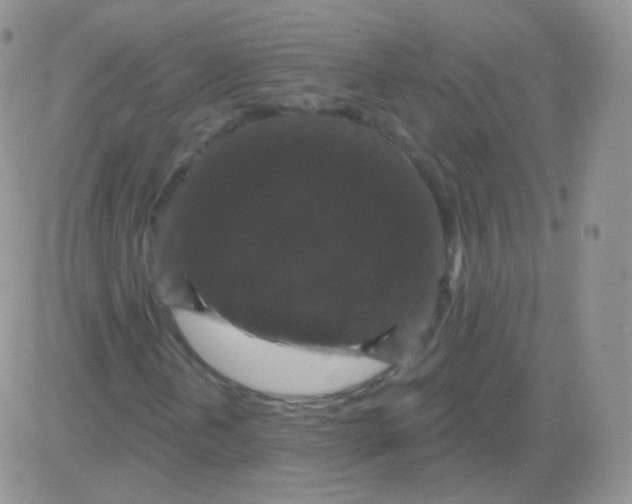 X0000083051202200702231946