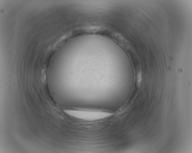 X0000083051204200702231946