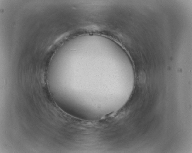 X0000083051205200702231946