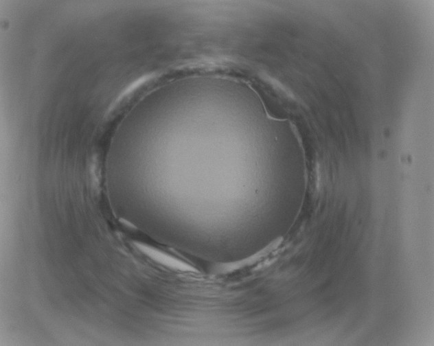 X0000083051206200702231946