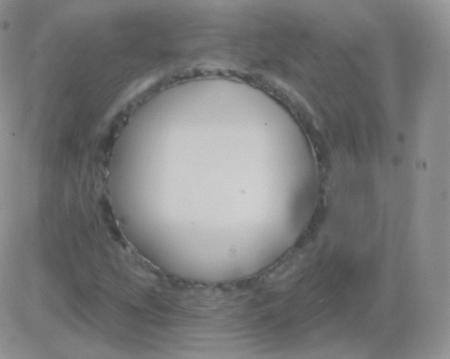 X0000083051207200702231946